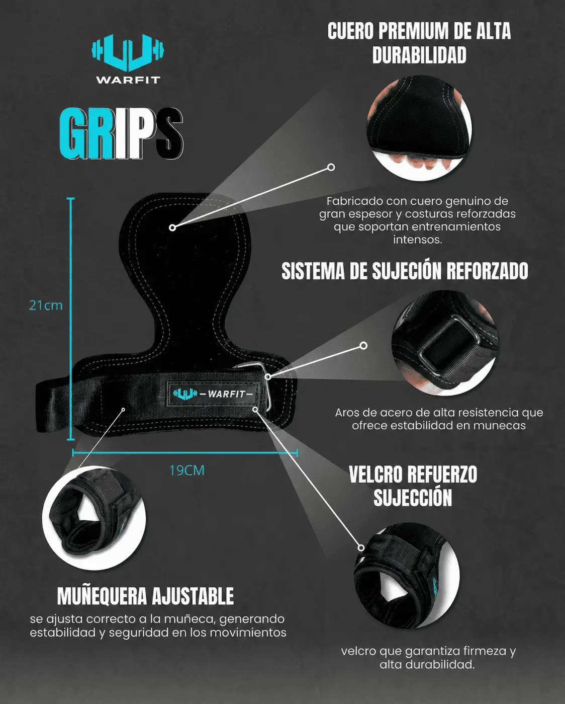 Características Anatómicas y Psicología WARFIT