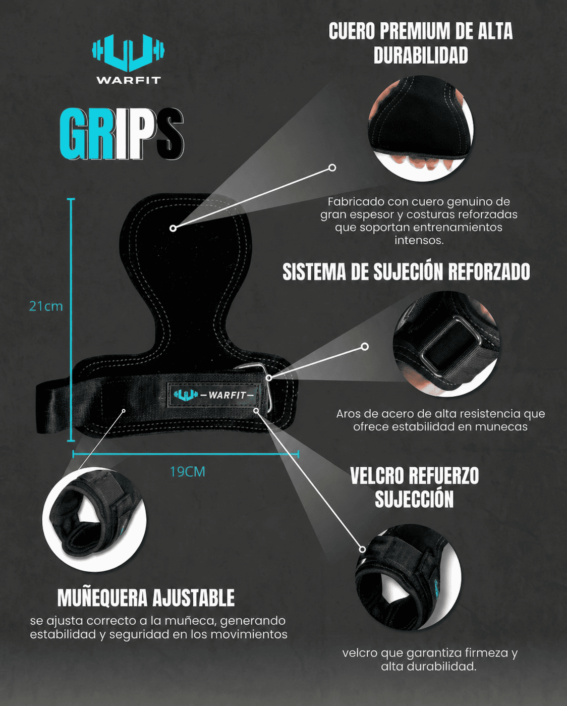 Características Anatómicas y Psicología WARFIT